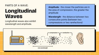 compression rarefaction
Longitudinal
Waves
PARTS OF A WAVE:
Amplitude - the closer the particles are in
the area of compression, the greater the
amplitude
Wavelength - the distance between two
consecutive points (between two
compressions or two rarefactions)
Longitudinal waves also exhibit
wavelength and amplitude.
one wavelength
 
