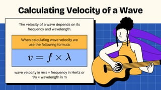 When calculating wave velocity we
use the following formula:
The velocity of a wave depends on its
frequency and wavelength.
wave velocity in m/s = frequency in Hertz or
1/s × wavelength in m
Calculating Velocity of a Wave
 