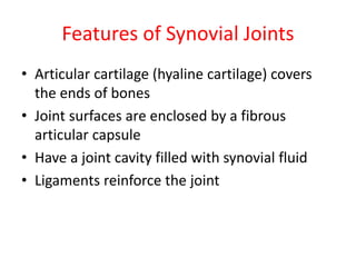 Features of Synovial Joints
• Articular cartilage (hyaline cartilage) covers
the ends of bones
• Joint surfaces are enclosed by a fibrous
articular capsule
• Have a joint cavity filled with synovial fluid
• Ligaments reinforce the joint
 
