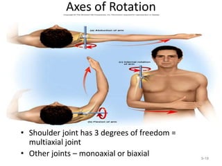 Axes of Rotation
• Shoulder joint has 3 degrees of freedom =
multiaxial joint
• Other joints – monoaxial or biaxial 9-18
 