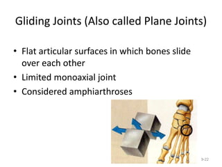 Gliding Joints (Also called Plane Joints)
• Flat articular surfaces in which bones slide
over each other
• Limited monoaxial joint
• Considered amphiarthroses
9-22
 