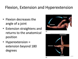 Flexion, Extension and Hyperextension
• Flexion decreases the
angle of a joint
• Extension straightens and
returns to the anatomical
position
• Hyperextension =
extension beyond 180
degrees
9-31
 