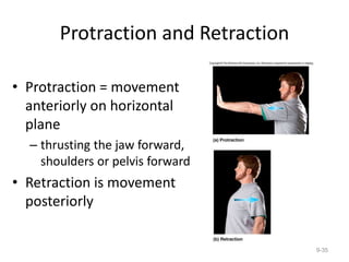 Protraction and Retraction
• Protraction = movement
anteriorly on horizontal
plane
– thrusting the jaw forward,
shoulders or pelvis forward
• Retraction is movement
posteriorly
9-35
 