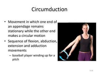 Circumduction
• Movement in which one end of
an appendage remains
stationary while the other end
makes a circular motion
• Sequence of flexion, abduction,
extension and adduction
movements
– baseball player winding up for a
pitch
9-36
 