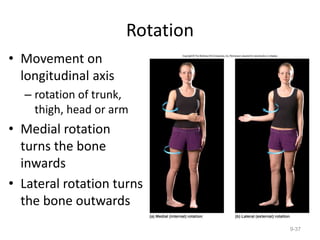 Rotation
• Movement on
longitudinal axis
– rotation of trunk,
thigh, head or arm
• Medial rotation
turns the bone
inwards
• Lateral rotation turns
the bone outwards
9-37
 
