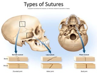 Types of Sutures
9-7
 