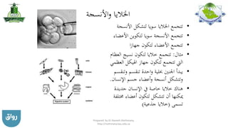 ‫األنسجة‬‫و‬ ‫اخلاليا‬
•‫األنس‬ ‫لتشكل‬ ‫سويا‬ ‫اخلاليا‬ ‫تتجمع‬‫جة‬
•‫األع‬ ‫لتكوين‬ ‫سويا‬ ‫األنسجة‬ ‫تتجمع‬‫ضاء‬
•‫ا‬‫ز‬‫جها‬ ‫لتكون‬ ‫األعضاء‬ ‫تتجمع‬
•‫مثال‬:‫نسيج‬ ‫لتكون‬ ‫خاليا‬ ‫تتجمع‬‫العظام‬
‫اهليكل‬ ‫جهاز‬ ‫لتكون‬ ‫تتجمع‬ ‫اليت‬‫العظمي‬
•‫تنقسم‬ ‫احدة‬‫و‬ ‫خبلية‬ ‫اجلنني‬ ‫يبدأ‬‫وتنقسم‬
‫اإلنس‬ ‫جسم‬ ‫أعضاء‬‫و‬ ‫أنسجة‬ ‫وتتشكل‬‫ان‬.
•‫جديدة‬ ‫اإلنسان‬ ‫يف‬ ‫خاصة‬ ‫خاليا‬ ‫هناك‬
‫خم‬ ‫أعضاء‬ ‫لتكون‬ ‫تتشكل‬ ‫أن‬ ‫ميكنها‬‫تلفة‬
‫تسمى‬(‫جذعية‬ ‫خاليا‬)
Prepared by Dr Nazeeh Alothmany,
http://nothmany.kau.edu.sa
 