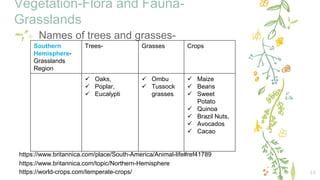 Vegetation-Flora and Fauna-
Grasslands
11
✢ Names of trees and grasses-
Southern
Hemisphere-
Grasslands
Region
Trees- Grasses Crops
 Oaks,
 Poplar,
 Eucalypti
 Ombu
 Tussock
grasses
 Maize
 Beans
 Sweet
Potato
 Quinoa
 Brazil Nuts,
 Avocados
 Cacao
https://www.britannica.com/topic/Northern-Hemisphere
https://world-crops.com/temperate-crops/
https://www.britannica.com/place/South-America/Animal-life#ref41789
 