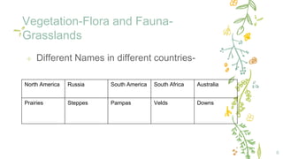 Vegetation-Flora and Fauna-
Grasslands
6
✢ Different Names in different countries-
North America Russia South America South Africa Australia
Prairies Steppes Pampas Velds Downs
 