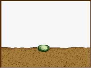 7th plant structure and function | PPTX
