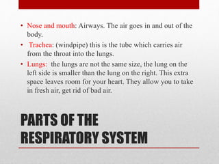 PARTS OF THE
RESPIRATORY SYSTEM
• Nose and mouth: Airways. The air goes in and out of the
body.
• Trachea: (windpipe) this is the tube which carries air
from the throat into the lungs.
• Lungs: the lungs are not the same size, the lung on the
left side is smaller than the lung on the right. This extra
space leaves room for your heart. They allow you to take
in fresh air, get rid of bad air.
 