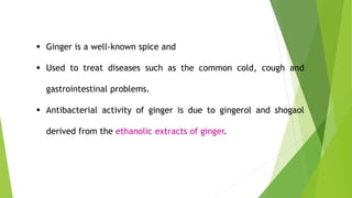  Ginger is a well-known spice and
 Used to treat diseases such as the common cold, cough and
gastrointestinal problems.
 Antibacterial activity of ginger is due to gingerol and shogaol
derived from the ethanolic extracts of ginger.
 