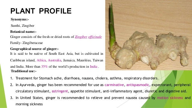 Ginger roots ts How To