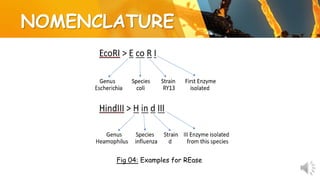 NOMENCLATURE
Fig 04: Examples for REase
 