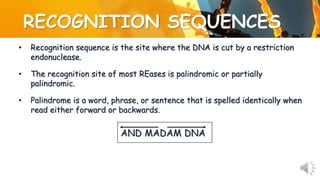 RECOGNITION SEQUENCES
• Recognition sequence is the site where the DNA is cut by a restriction
endonuclease.
• The recognition site of most REases is palindromic or partially
palindromic.
• Palindrome is a word, phrase, or sentence that is spelled identically when
read either forward or backwards.
AND MADAM DNA
 