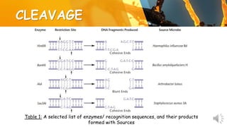 CLEAVAGE
Table 1: A selected list of enzymes/ recognition sequences, and their products
formed with Sources
 