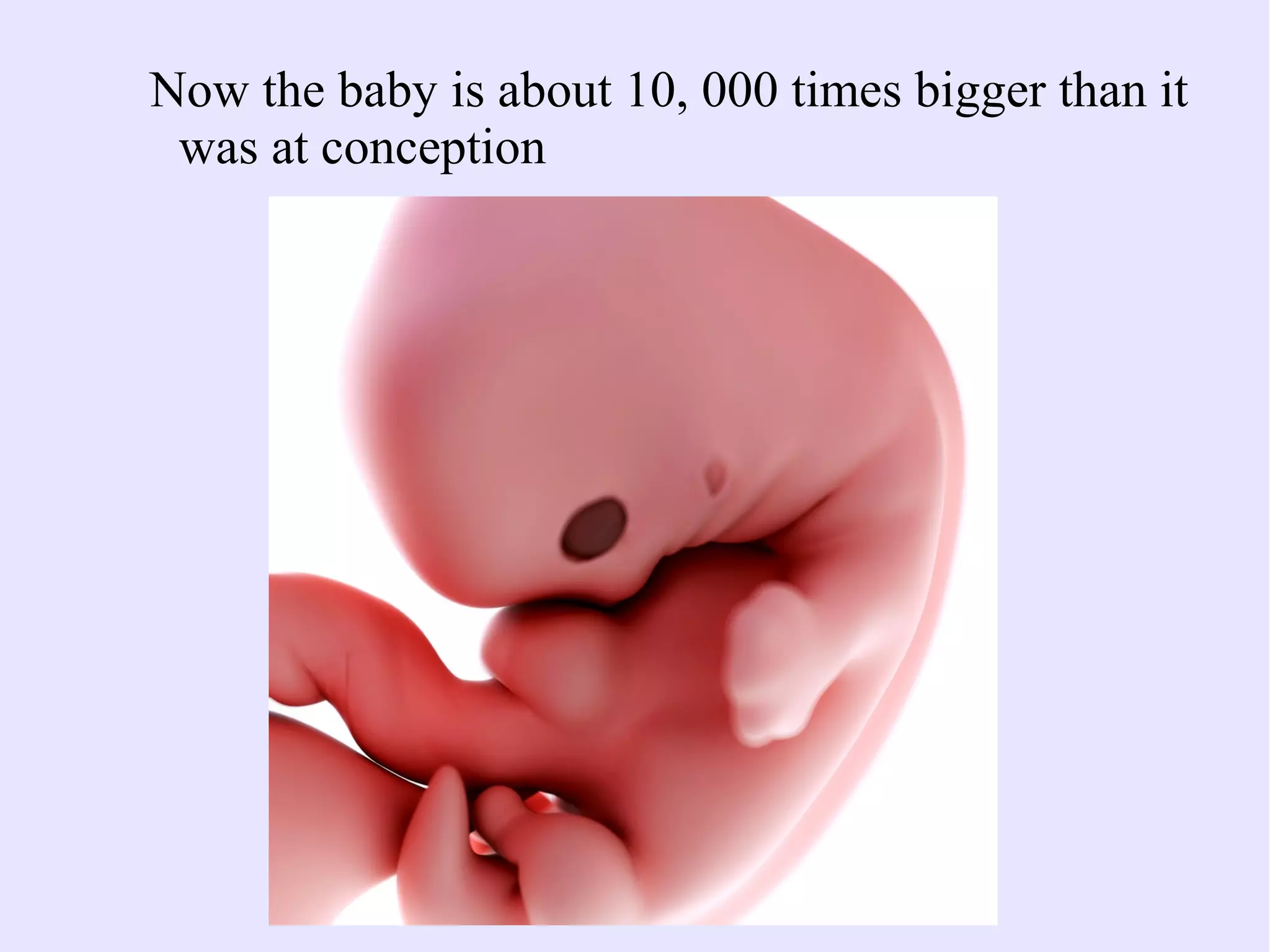7 Weeks Pregnant What To Expect Pregnancy Week By Week PPT 7-weeks-pregnant-what-to-expect-pregnancy-week-by-week-ppt