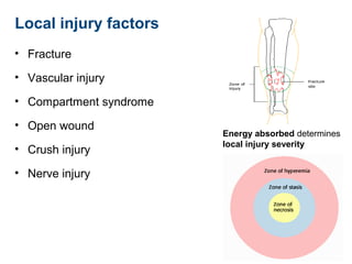 Principles of fracture management | PPT