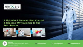 7 Tips About Summer Pest Control
& Reasons Why Summer Is The
Pest Season
 