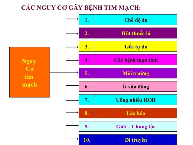 7 tpcn và bệnh xương khớp slideshare 1. Chế độ ăn 2. Hút thuốc lá 3. Gốc tự do 4. Các bệnh mạn tính 5. Môi trường 6. Ít vận động 7. Uống nhiều ROH 8. Lão hóa 9... - 웹