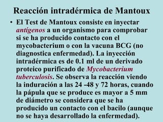 Reacción intradérmica de Mantoux
• El Test de Mantoux consiste en inyectar
antígenos a un organismo para comprobar
si se ha producido contacto con el
mycobacterium o con la vacuna BCG (no
diagnostica enfermedad). La inyección
intradérmica es de 0.1 ml de un derivado
proteico purificado de Mycobacterium
tuberculosis. Se observa la reacción viendo
la induración a las 24 -48 y 72 horas, cuando
la pápula que se produce es mayor a 5 mm
de diámetro se considera que se ha
producido un contacto con el bacilo (aunque
no se haya desarrollado la enfermedad).
 