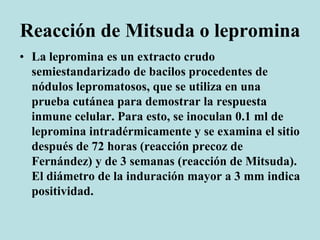 Reacción de Mitsuda o lepromina
• La lepromina es un extracto crudo
semiestandarizado de bacilos procedentes de
nódulos lepromatosos, que se utiliza en una
prueba cutánea para demostrar la respuesta
inmune celular. Para esto, se inoculan 0.1 ml de
lepromina intradérmicamente y se examina el sitio
después de 72 horas (reacción precoz de
Fernández) y de 3 semanas (reacción de Mitsuda).
El diámetro de la induración mayor a 3 mm indica
positividad.
 