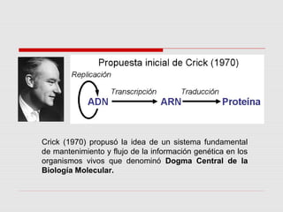 Crick (1970) propusó la idea de un sistema fundamental
de mantenimiento y flujo de la información genética en los
organismos vivos que denominó Dogma Central de la
Biología Molecular.