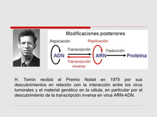 H. Temin recibió el Premio Nobel en 1975 por sus
descubrimientos en relación con la interacción entre los virus
tumorales y el material genético en la célula, en particular por el
descubrimiento de la transcripción inversa en virus ARN-ADN.