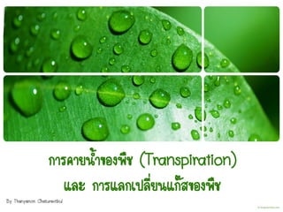 การคายน้าของพืช (Transpiration)
และ การแลกเปลี่ยนแก๊สของพืช
By Thanyamon Chaturavitkul
 