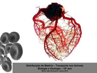 Distribuição de Matéria – Transporte nos Animais
Biologia e Geologia – 10º ano
Maria João Drumond / março 2015
 