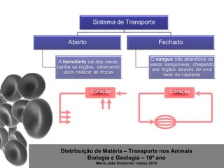 Distribuição de Matéria – Transporte nos Animais
Biologia e Geologia – 10º ano
Maria João Drumond / março 2015
 