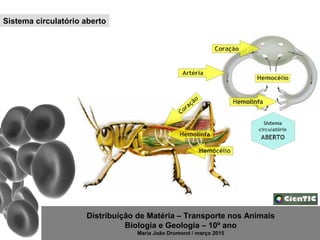 Distribuição de Matéria – Transporte nos Animais
Biologia e Geologia – 10º ano
Maria João Drumond / março 2015
Sistema circulatório aberto
 