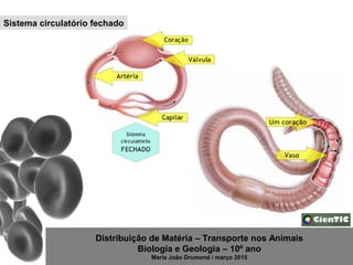 Distribuição de Matéria – Transporte nos Animais
Biologia e Geologia – 10º ano
Maria João Drumond / março 2015
Sistema circulatório fechado
 