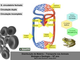 Distribuição de Matéria – Transporte nos Animais
Biologia e Geologia – 10º ano
Maria João Drumond / março 2015
S. circulatório fechado
Circulação dupla
Circulação incompleta
 