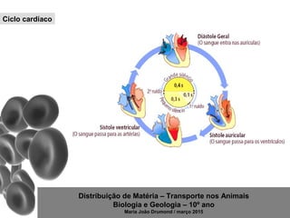 Distribuição de Matéria – Transporte nos Animais
Biologia e Geologia – 10º ano
Maria João Drumond / março 2015
Ciclo cardíaco
 
