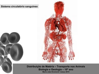 Distribuição de Matéria – Transporte nos Animais
Biologia e Geologia – 10º ano
Maria João Drumond / março 2015
Sistema circulatório sanguíneo
 