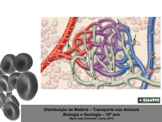Distribuição de Matéria – Transporte nos Animais
Biologia e Geologia – 10º ano
Maria João Drumond / março 2015
 
