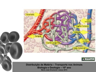 Distribuição de Matéria – Transporte nos Animais
Biologia e Geologia – 10º ano
Maria João Drumond / março 2015
 