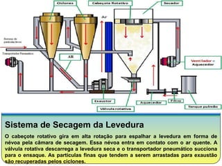 Sistema de Secagem da Levedura
O cabeçote rotativo gira em alta rotação para espalhar a levedura em forma de
névoa pela câmara de secagem. Essa névoa entra em contato com o ar quente. A
válvula rotativa descarrega a levedura seca e o transportador pneumático succiona
para o ensaque. As partículas finas que tendem a serem arrastadas para exaustão
são recuperadas pelos ciclones.
 