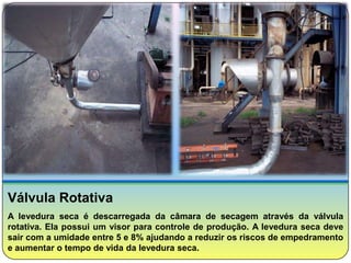Válvula Rotativa
A levedura seca é descarregada da câmara de secagem através da válvula
rotativa. Ela possui um visor para controle de produção. A levedura seca deve
sair com a umidade entre 5 e 8% ajudando a reduzir os riscos de empedramento
e aumentar o tempo de vida da levedura seca.
 