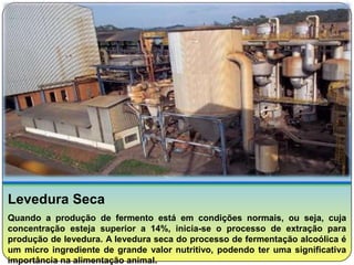 Levedura Seca
Quando a produção de fermento está em condições normais, ou seja, cuja
concentração esteja superior a 14%, inicia-se o processo de extração para
produção de levedura. A levedura seca do processo de fermentação alcoólica é
um micro ingrediente de grande valor nutritivo, podendo ter uma significativa
importância na alimentação animal.
 