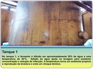 Tanque 1
No tanque 1, o fermento é diluído em aproximadamente 20% de água a uma
temperatura de 45°C. Adição da água ajuda na lavagem para posterior
concentração e redução de infecção. A temperatura torna um ambiente propício
a reprodução da levedura e evita um choque térmico.
 