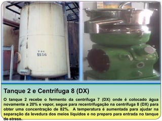 Tanque 2 e Centrífuga 8 (DX)
O tanque 2 recebe o fermento da centrífuga 7 (DX) onde é colocado água
novamente a 20% e vapor, segue para recentrifugação na centrífuga 8 (DX) para
obter uma concentração de 82%. A temperatura é aumentada para ajudar na
separação da levedura dos meios líquidos e no preparo para entrada no tanque
de stress.
 