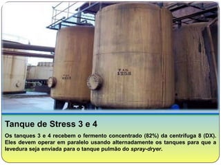 Tanque de Stress 3 e 4
Os tanques 3 e 4 recebem o fermento concentrado (82%) da centrífuga 8 (DX).
Eles devem operar em paralelo usando alternadamente os tanques para que a
levedura seja enviada para o tanque pulmão do spray-dryer.
 