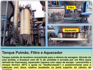 Filtro




                                                     Aquecedor




Tanque Pulmão, Filtro e Aquecedor
Tanque pulmão de levedura concentrada para a câmara de secagem. Através de
uma bomba, a levedura com 40 % de umidade é enviada por um filtro (para
retirada de impurezas), aquecedor (aquece com vapor de escape – prevenindo o
choque térmico -60°C e ajuda na “desfloculação”) e posteriormente para o
cabeçote com disco rotativo localizado na parte superior da câmara de
 