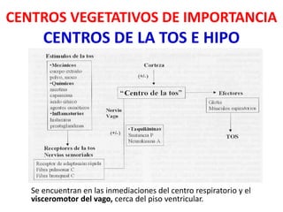 CENTROS DE LA TOS E HIPO
Se encuentran en las inmediaciones del centro respiratorio y el
visceromotor del vago, cerca del piso ventricular.
CENTROS VEGETATIVOS DE IMPORTANCIA
 