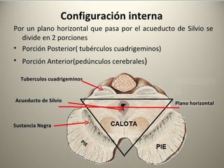 DAVID SUMERENTE TORRES
 