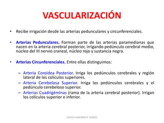 VASCULARIZACIÓN
• Recibe irrigación desde las arterias pedunculares y circunferenciales.
• Arterias Pedunculares. Forman parte de las arterias paramedianas que
nacen en la arteria cerebral posterior, irrigando pedúnculo cerebral medio,
núcleo del III nervio craneal, núcleo rojo y sustancia negra.
• Arterias Circunferenciales. Entre ellas distinguimos:
– Arteria Coroidea Posterior. Irriga los pedúnculos cerebrales y región
lateral de los colículos superiores.
– Arteria Cerebelosa Superior. Irriga los pedúnculos cerebrales y el
pedúnculo cerebeloso superior.
– Arterias Cuadrigéminas (rama de la arteria cerebral posterior). Irrigan
los colículos superior e inferior.
DAVID SUMERENTE TORRES
 