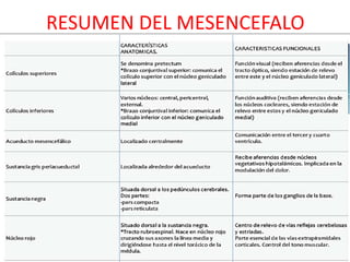 DAVID SUMERENTE TORRES
RESUMEN DEL MESENCEFALO
 