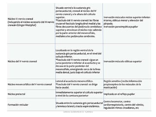 DAVID SUMERENTE TORRES
 